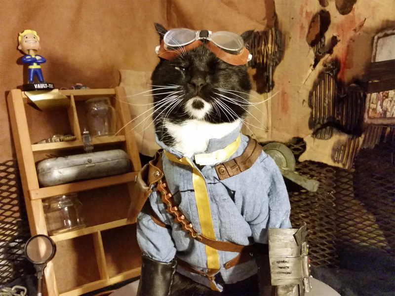 Illustration for article titled We've Had Enough Fallout Dogs. It's Vault Cat's Time.
